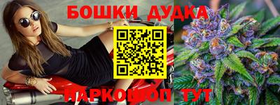 гидра Будённовск