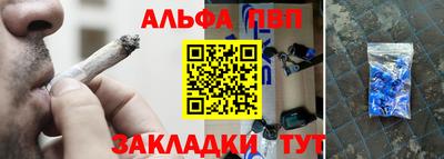 гидра Будённовск