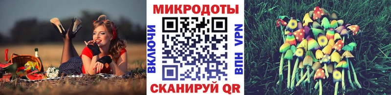 наркотики  ОМГ ОМГ маркетплейс  Галлюциногенные грибы GOLDEN TEACHER  Горно-Алтайск 