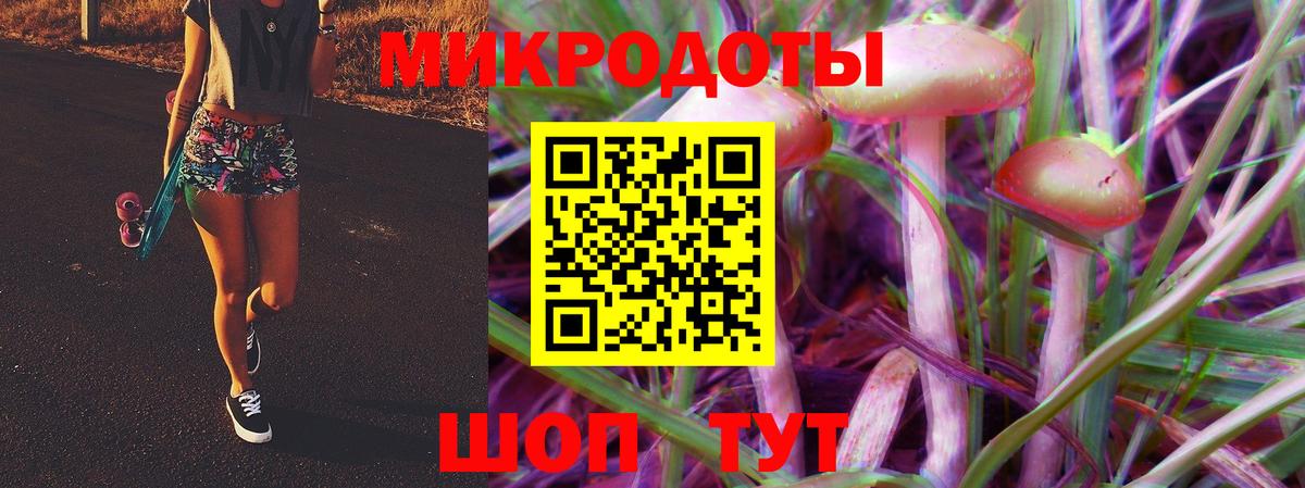 сколько стоит  Галлюциногенные грибы Cubensis  Вход с VPN  Горно-Алтайск 