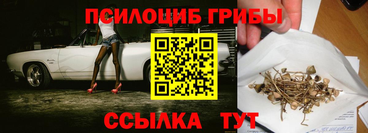 Галлюциногенные грибы мухоморы  Горно-Алтайск 